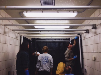 Some of our new students getting the colonization room for our Oyster Mushrooms set up and ready to grow some mycelium! 